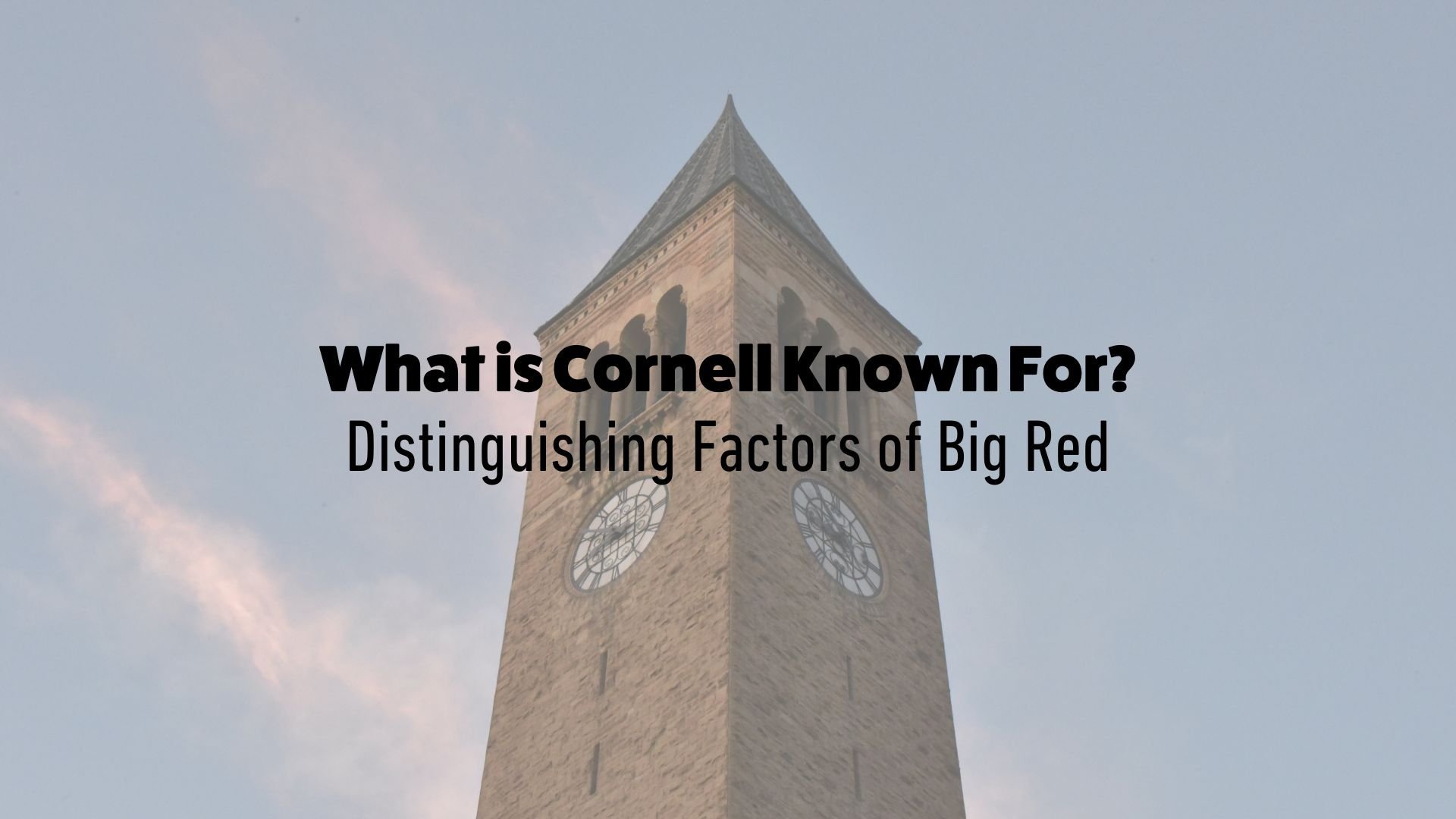 What is Cornell Univeristy Known For? Distinguishing Factors of Big Red